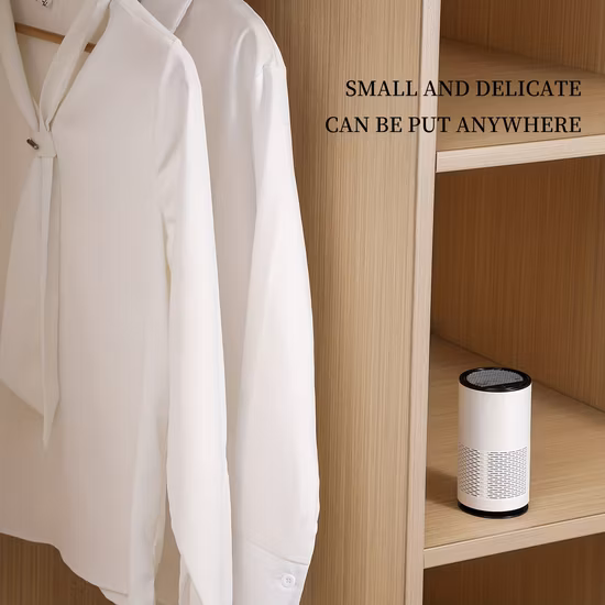 Factory CE Low Noise H13 Negative Ion Car Air Purifier