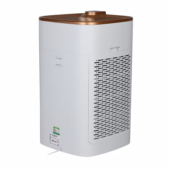 家庭用ポータブルUVC空気清浄機の家庭用イノライザーメーカー